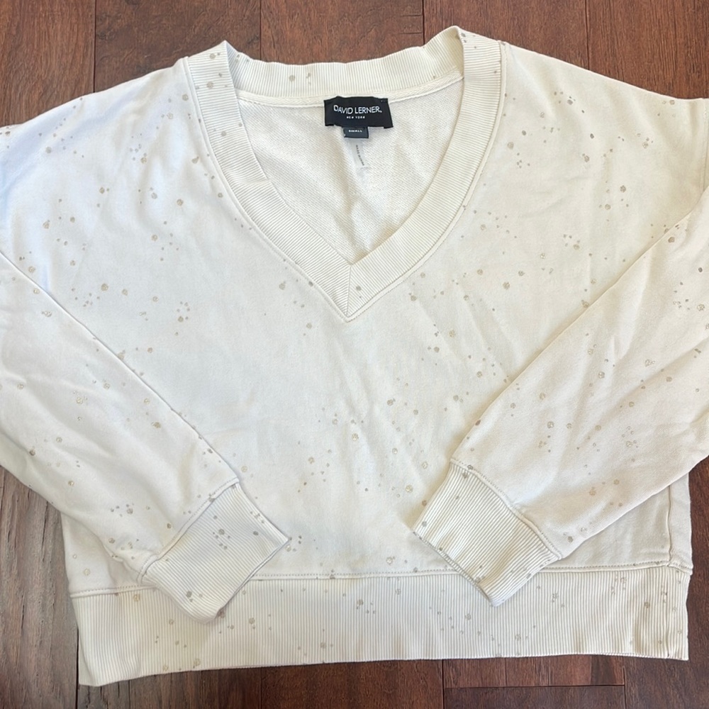 David Lerner Mia V Neck Sweatshirt